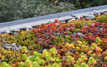 the cost of Offton green roof installation