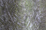 Offton fibreglass roof work